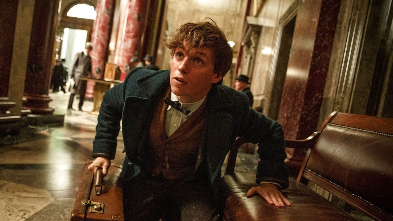 Fantastic Beasts and Where to Find Them Movie Tamilyogi Screenshot 3