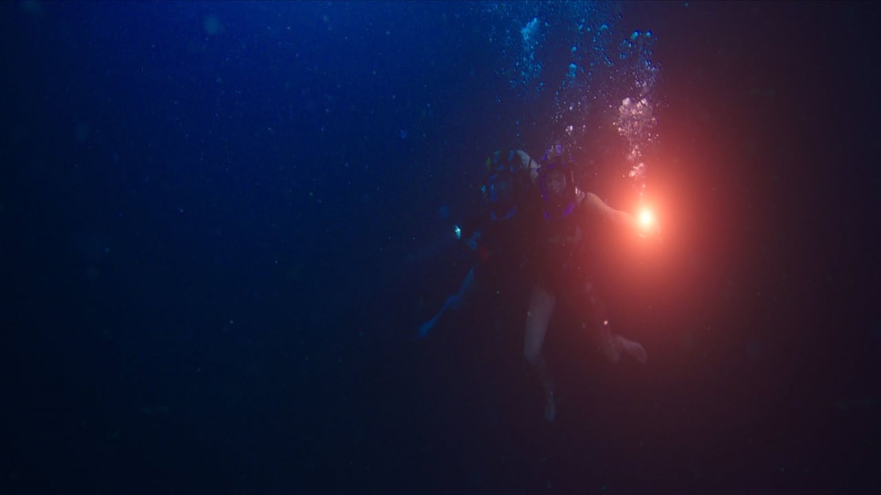 47 Meters Down Movie Tamilyogi Screenshot 2