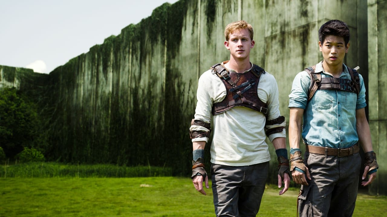 The Maze Runner Movie Tamilyogi Screenshot 2