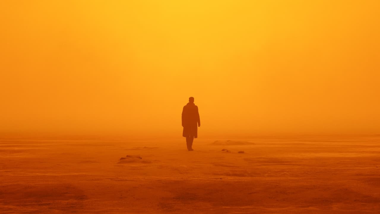 Blade Runner 2049 Movie Tamilyogi Screenshot 1