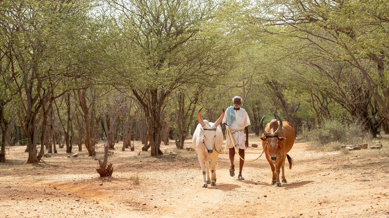 Kadaisi Vivasayi Movie Tamilyogi Screenshot 1