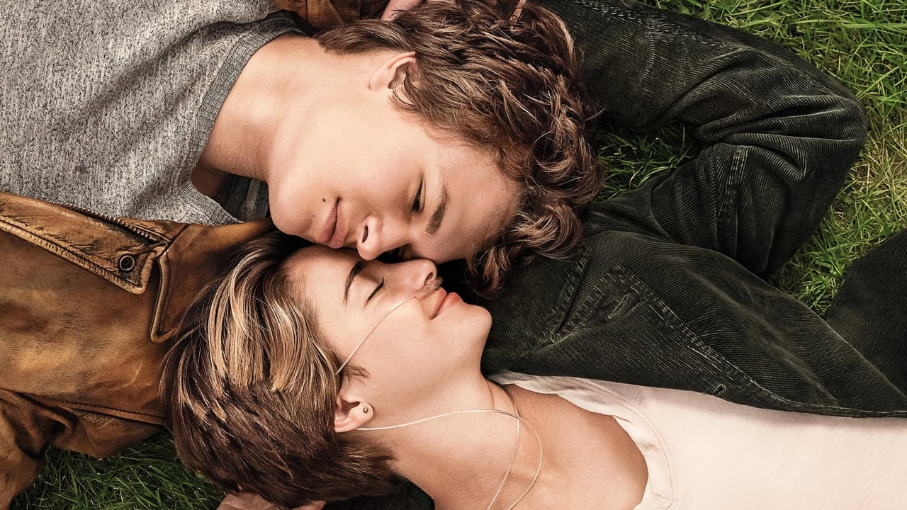 The Fault in Our Stars Movie Tamilyogi Screenshot 1